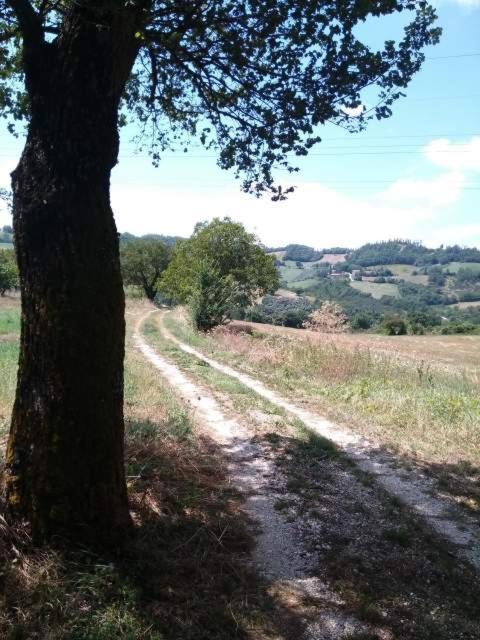 Casa Vacanze Campo D'Arco Nocera Umbra Εξωτερικό φωτογραφία