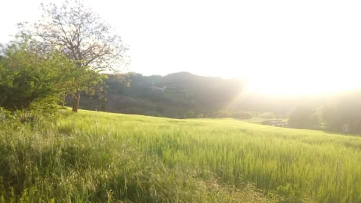Casa Vacanze Campo D'Arco Nocera Umbra Εξωτερικό φωτογραφία